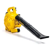 Բենզինային օդամղիչ CHAMPION GB227՝ 700 Վտ, 26 սմ³, 720 մ³/ժ