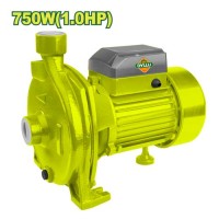 Centrifugal pump 750 W DTWPCA03