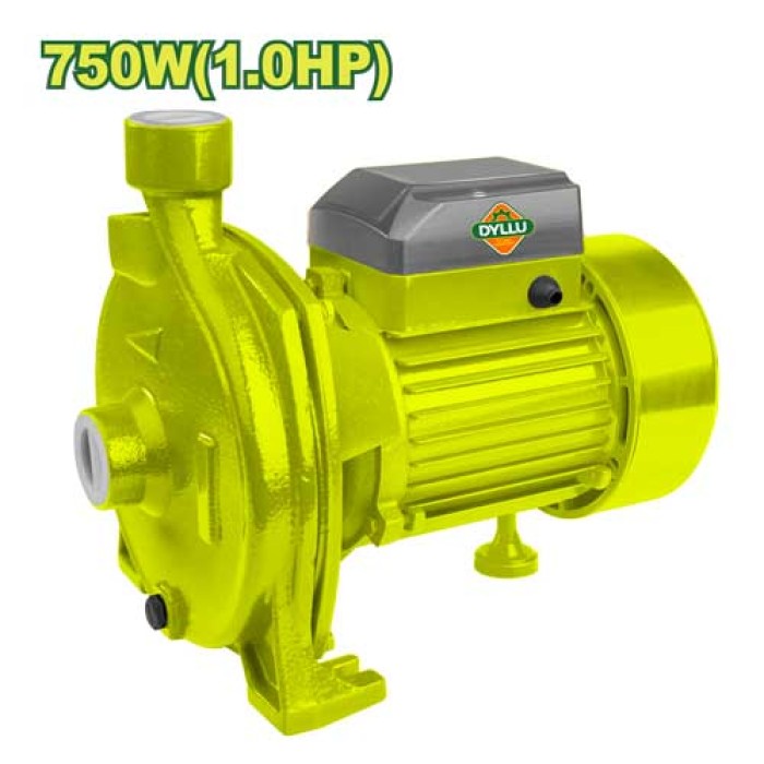 Centrifugal pump 750 W DTWPCA03