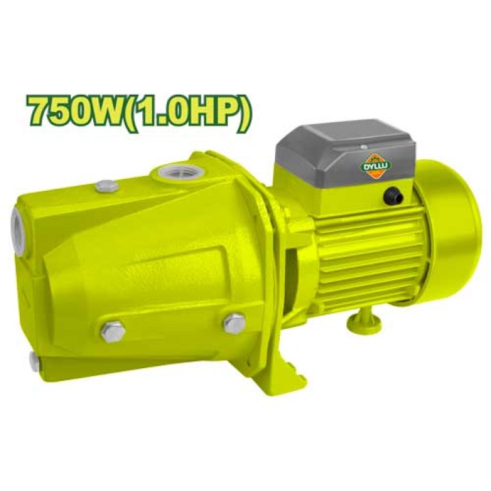 Self-priming pump 750 W DTWPJA03