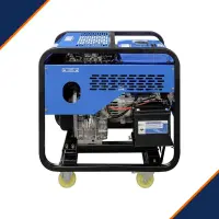 Դիզելային գեներատոր (մեկնարկիչով) 8000 Վտ TSS SDG 8000EHA