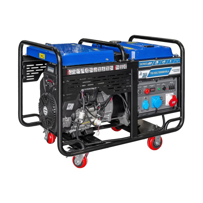 TSS-Գեներատորներ-SGG 12000EH3LA-190060