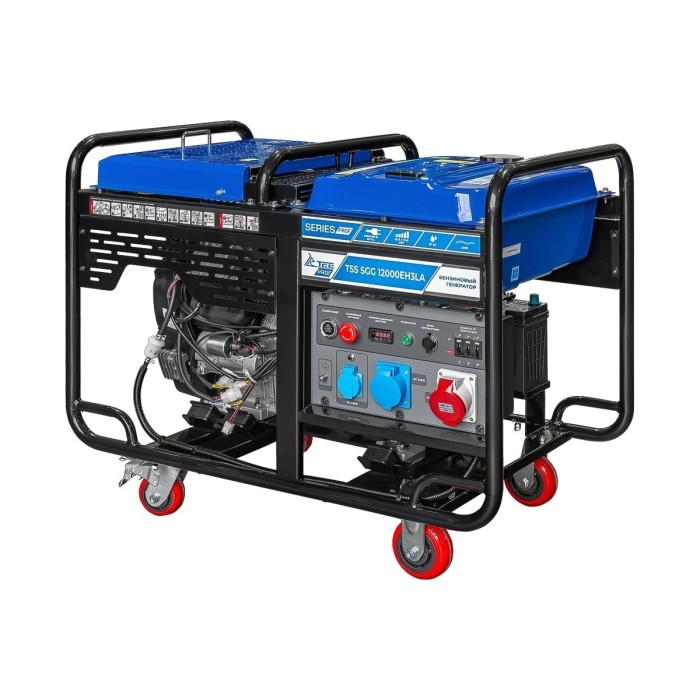 TSS-Գեներատորներ-SGG 12000EH3LA-190060