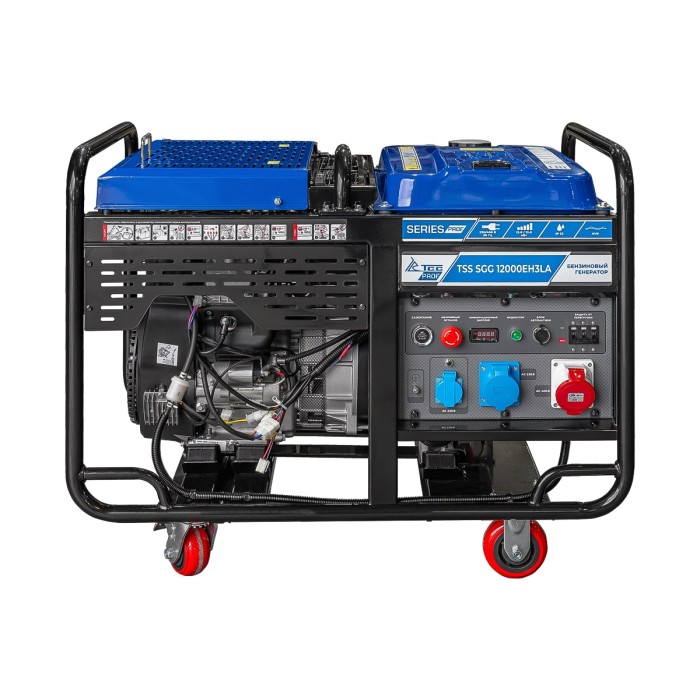 TSS-Գեներատորներ-SGG 12000EH3LA-190060