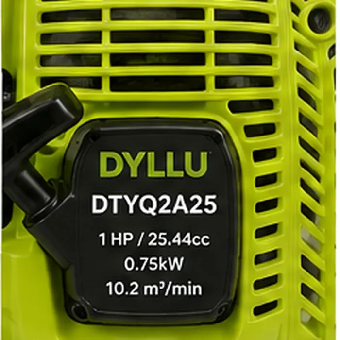 DYLLU DTYQ2A25 բենզինային օդամղիչ-փոշեկուլ 750 Վտ