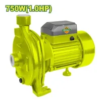 Կենտրոնախույս պոմպ 750 Վտ DTWPCA03