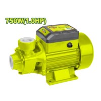 Գծային ջրի պոմպ 750 Վտ DTWPVA03