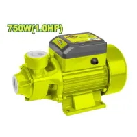 Գծային ջրի պոմպ 750 Վտ DTWPVA03