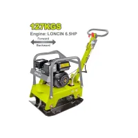 Բենզինային կոմպակտոր հետադարձով 127 կգ DYLLU DTPA2A125