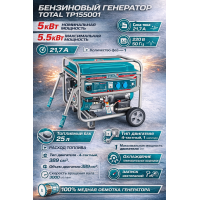 Gasoline Generator (with starter) 5500 W TOTAL TP155001