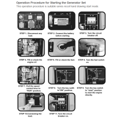 Դիզելային գեներատոր (մեկնարկիչով)  8000 Վտ TOTAL TP280001 ձայնամեկուսիչ կափարիչով