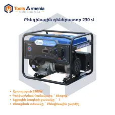 5 kW, 230 V petrol generator TSS SGG 5000N