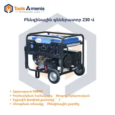 Gasoline generator TSS SGG 5000EHNA, 5 kW, 230 V