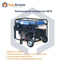 Gasoline generator TSS SGG 5000EHNA, 5 kW, 230 V