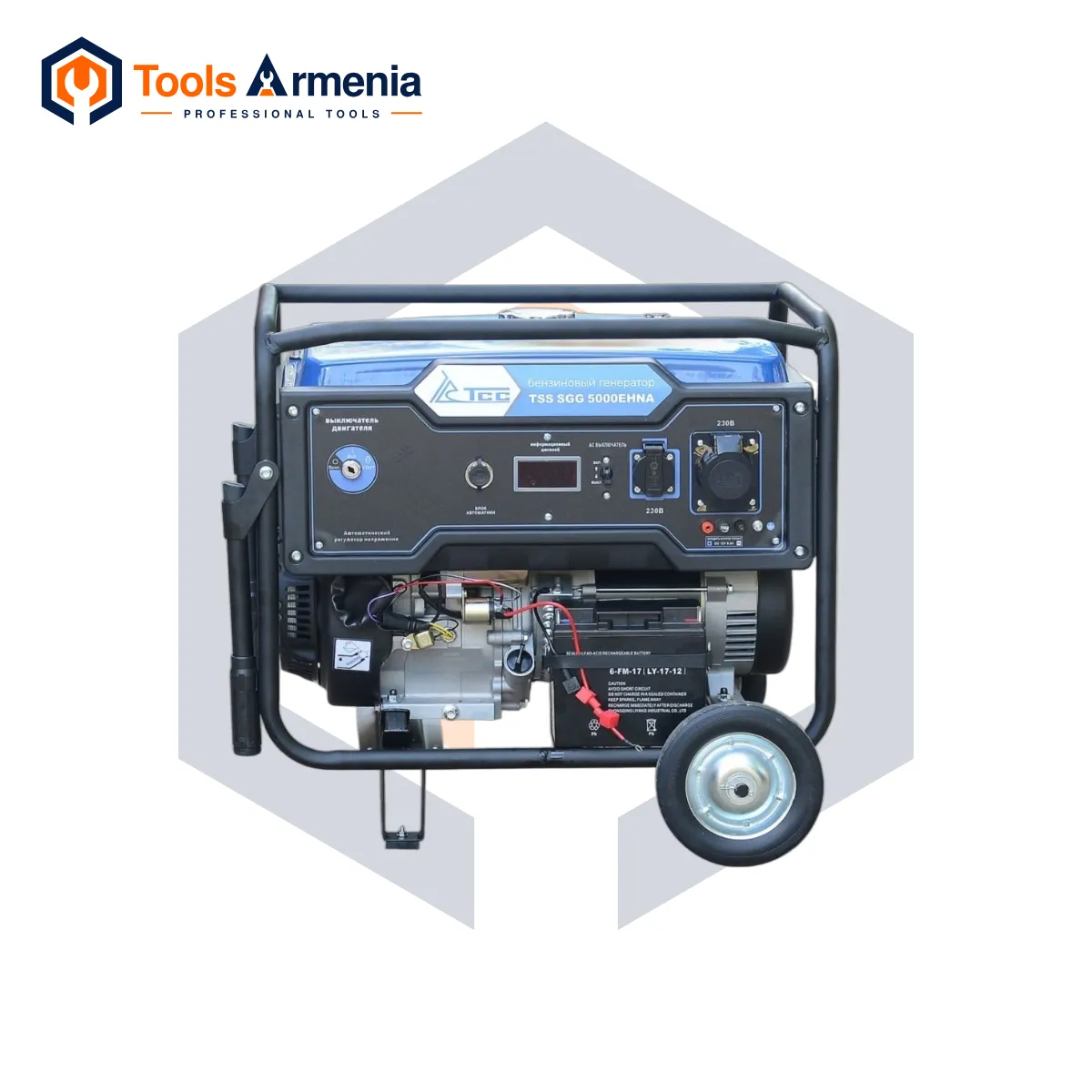 TSS SGG 5000EHNA բենզինային գեներատոր՝ հիմնական տեսք