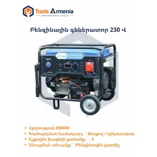 Gasoline generator TSS SGG 6000EH3NA, 6 kW, 400/230 V