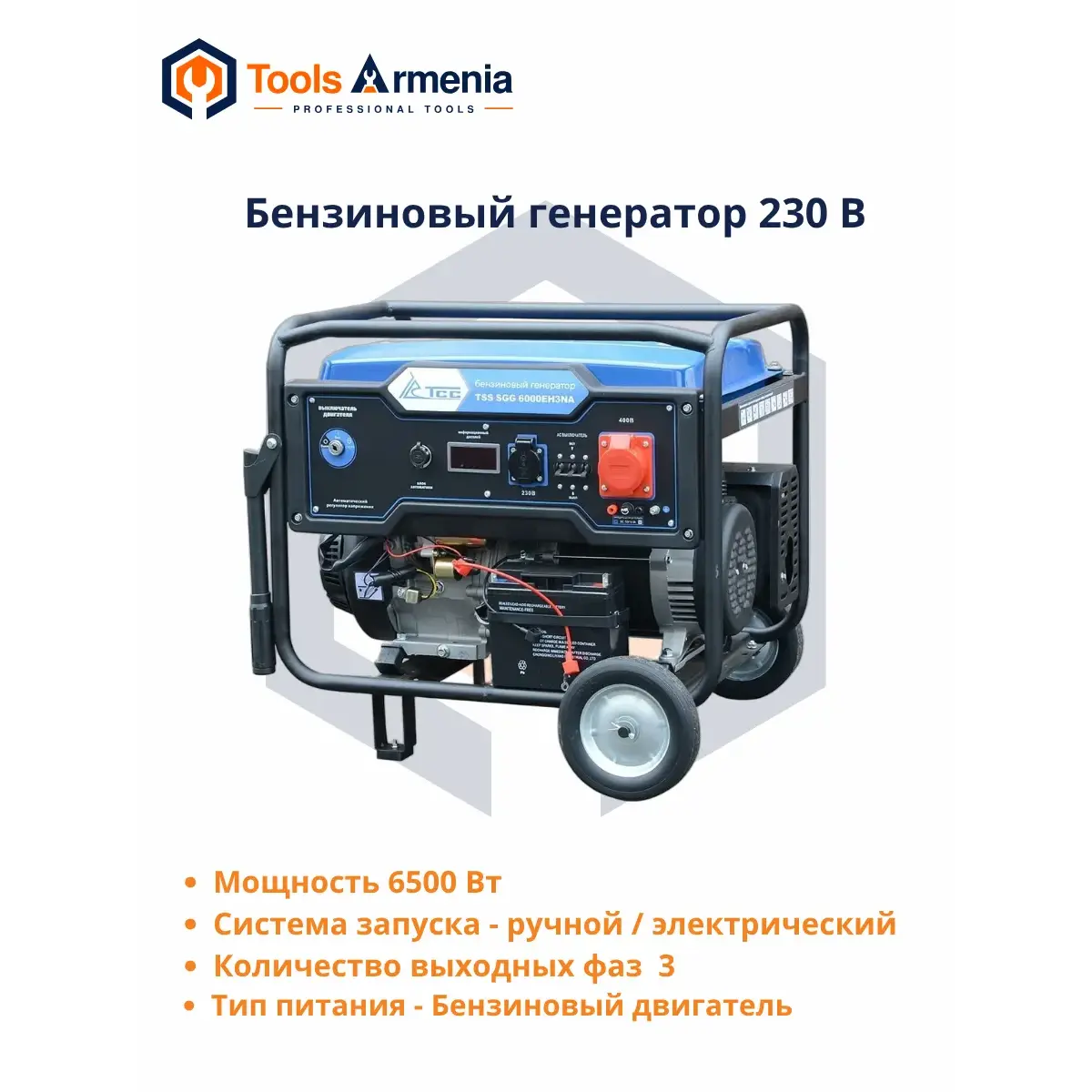 TSS SGG 6000EH3NA բենզինային գեներատոր՝ հիմնական տեսք