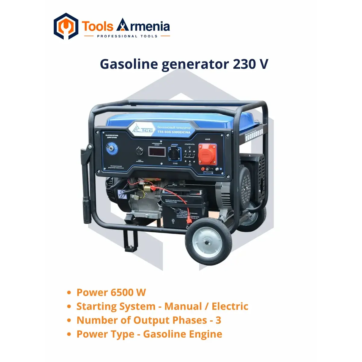 TSS SGG 6000EH3NA բենզինային գեներատոր՝ հիմնական տեսք