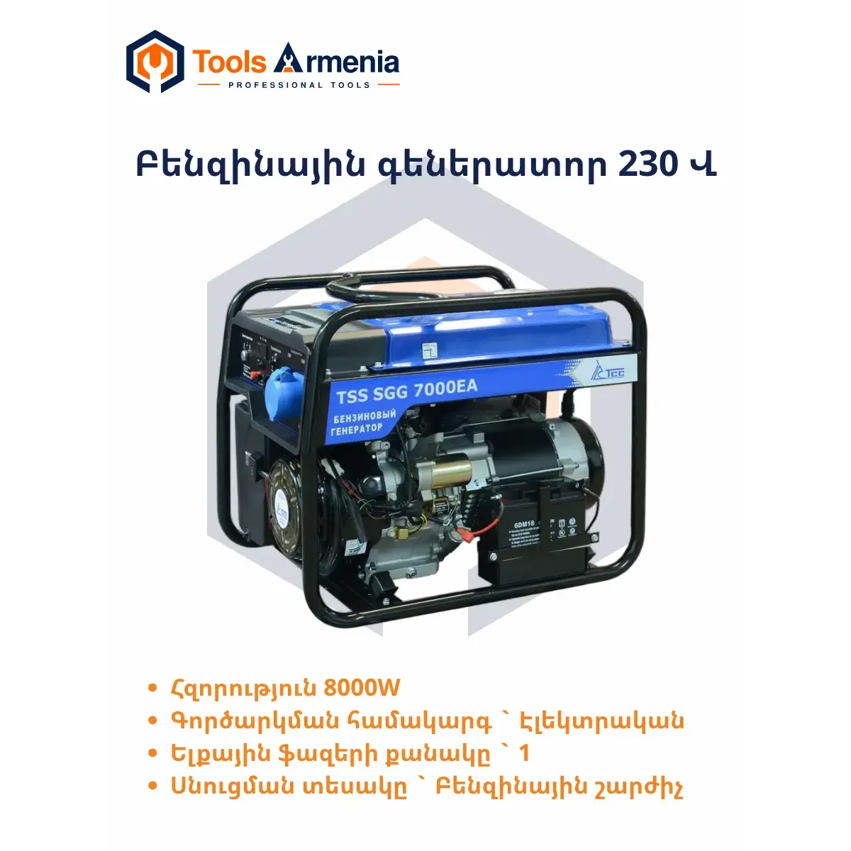 TSS SGG 7000ENA բենզինային գեներատոր՝ հիմնական տեսք
