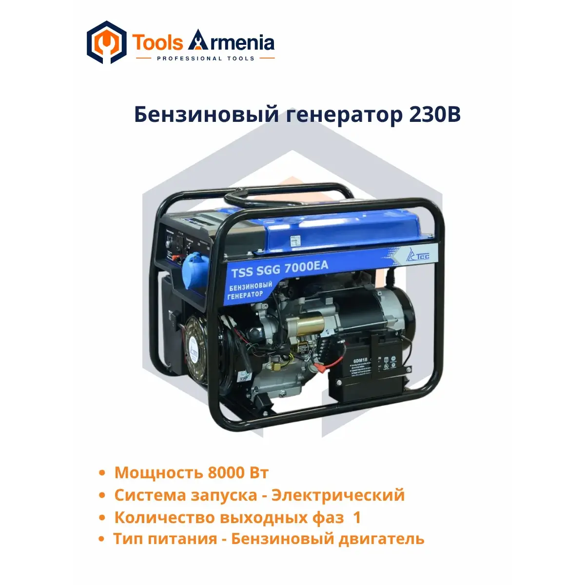 TSS SGG 7000ENA բենզինային գեներատոր՝ հիմնական տեսք