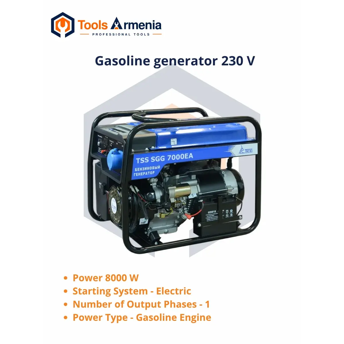TSS SGG 7000ENA բենզինային գեներատոր՝ հիմնական տեսք