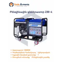 Բենզինային գեներատոր TSS SGG 12000EHLA, 12 կՎտ, 230 Վ