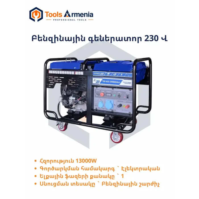 Gasoline generator TSS SGG 12000EHLA, main product view