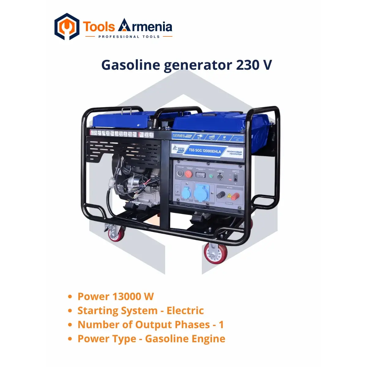 TSS SGG 12000EHLA բենզինային գեներատոր՝ հիմնական տեսք
