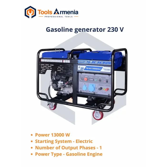 Gasoline generator TSS SGG 12000EHLA, main product view
