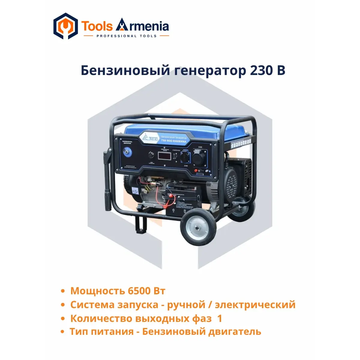 TSS SGG 6000EHNA բենզինային գեներատոր՝ հիմնական տեսք