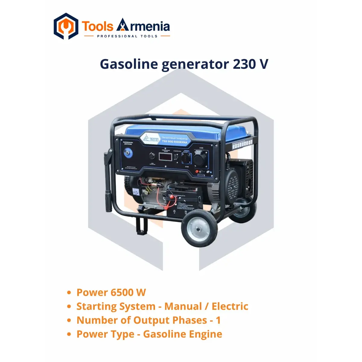 TSS SGG 6000EHNA բենզինային գեներատոր՝ հիմնական տեսք