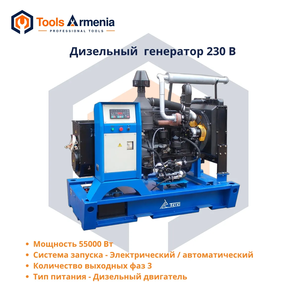 TSS AD-50S-T400-2RKM1 դիզելային գեներատոր՝ հիմնական տեսք