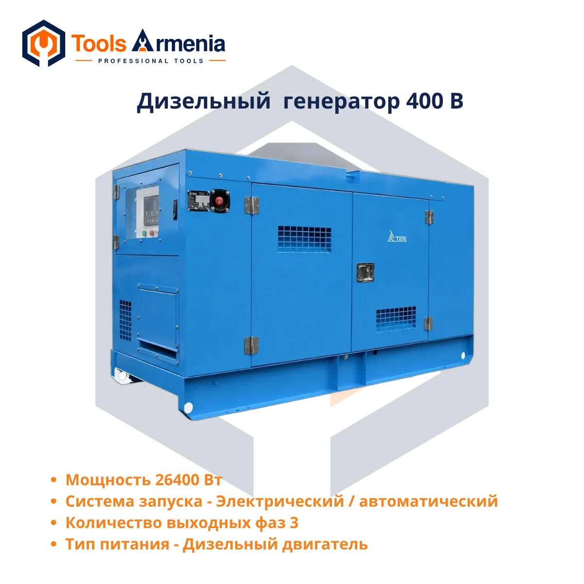 TSS AD-24S-T400-2RKM19 դիզելային գեներատոր՝ հիմնական տեսք