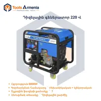Դիզելային գեներատոր (մեկնարկիչով) 8000 Վտ TSS SDG 8000EHA